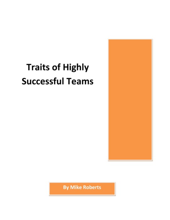 Traits of Highly Successful Teams